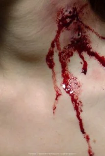 Постер: Blood + Roses