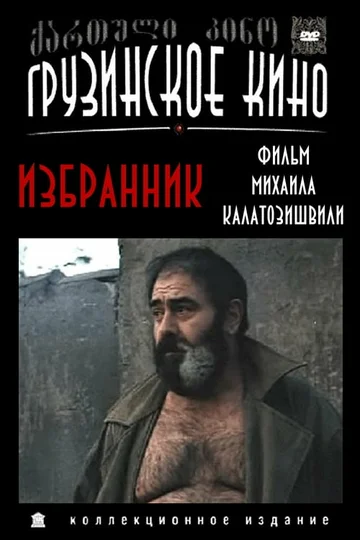 Постер: Избранник