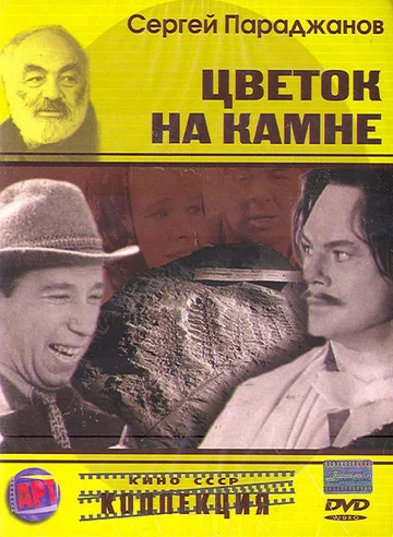 Постер: Цветок на камне