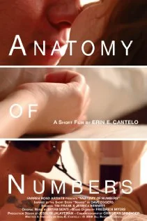 Постер: Anatomy of Numbers