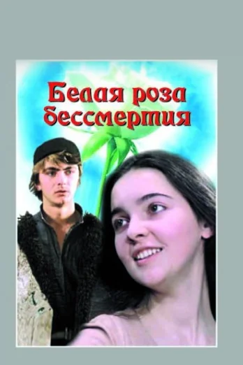 Постер: Белая роза бессмертия