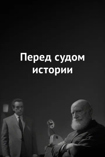 Постер: Перед судом истории