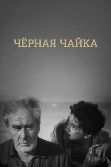 Постер: Черная чайка