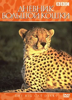 Постер: Дневник большой кошки
