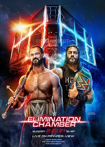 Постер: WWE Камера ликвидации