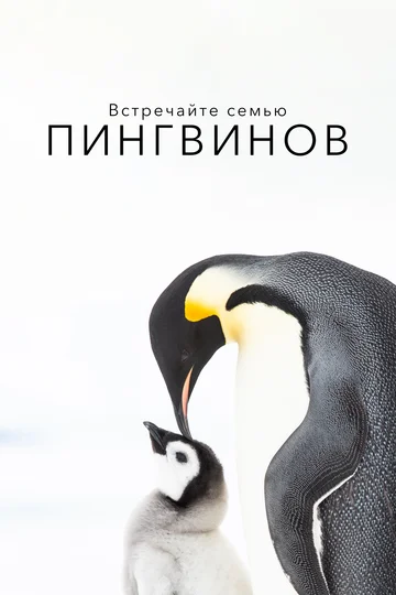 Постер: Встречайте семью пингвинов