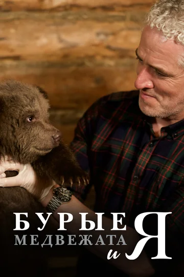 Постер: Бурые медвежата