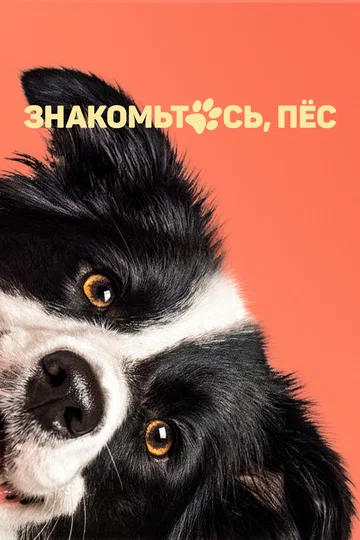Постер: Знакомьтесь, пёс