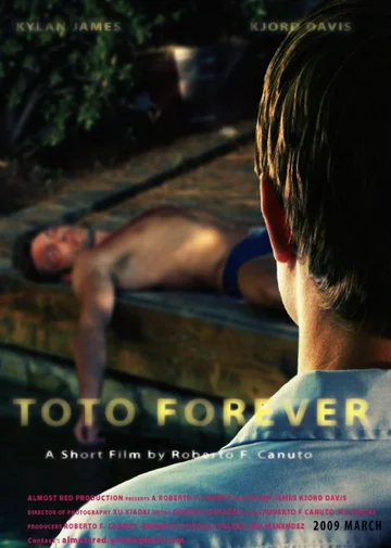 Постер: Toto Forever