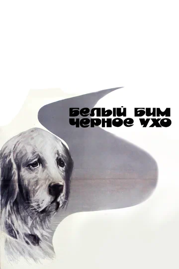 Постер: Белый Бим Черное ухо