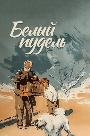 Постер: Белый пудель