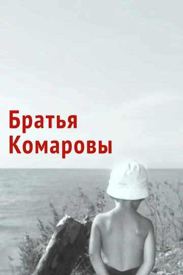 Постер: Братья Комаровы