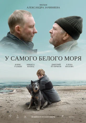 Постер: У самого Белого моря