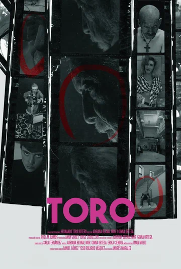 Постер: Торо