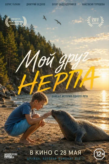 Постер: Мой друг нерпа