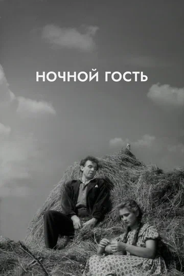Постер: Ночной гость