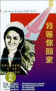 Постер: Wo deng ni hui lai