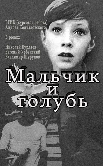 Постер: Мальчик и голубь