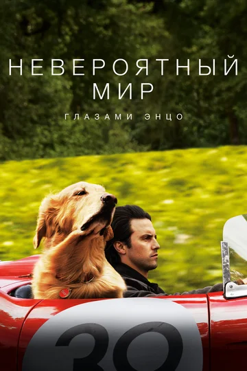 Постер: Невероятный мир глазами Энцо