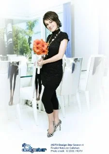 Постер: HGTV Design Star