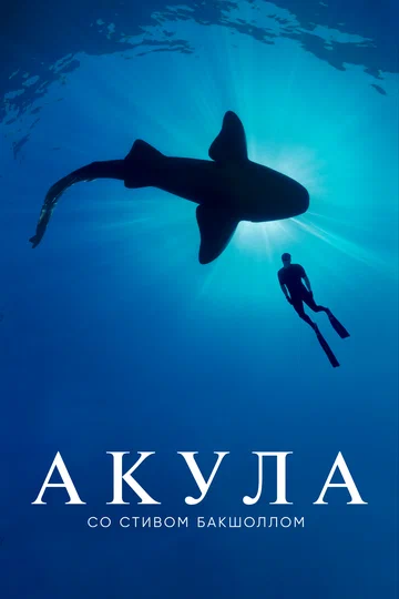 Постер: Акула со Стивом Бакшоллом