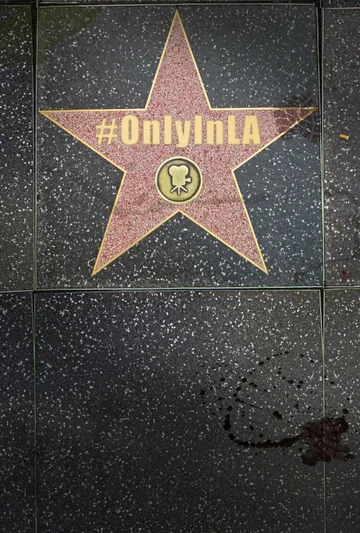 Постер: Only in L.A.