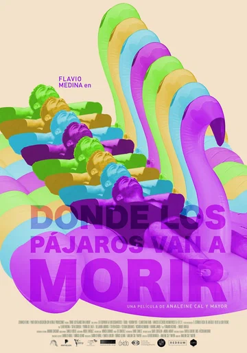 Постер: Donde los pájaros van a morir