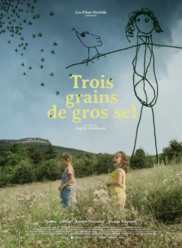Постер: Trois grains de gros sel