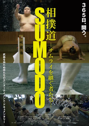 Постер: О сумо