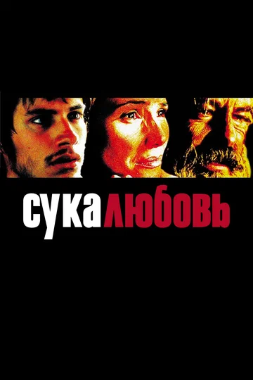 Постер: Сука-любовь