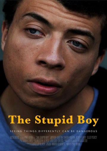 Постер: The Stupid Boy
