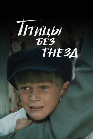 Постер: Птицы без гнезд