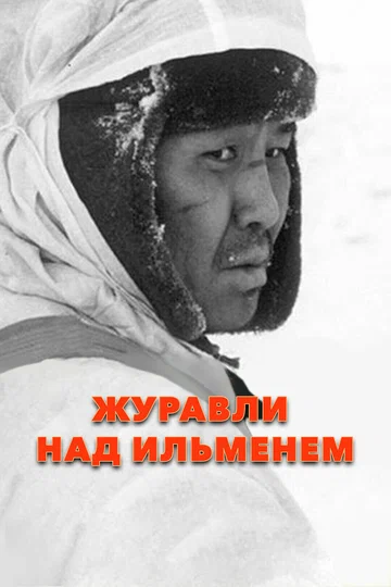 Постер: Журавли над Ильменем