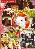 Постер: Руди – гоночная свинья