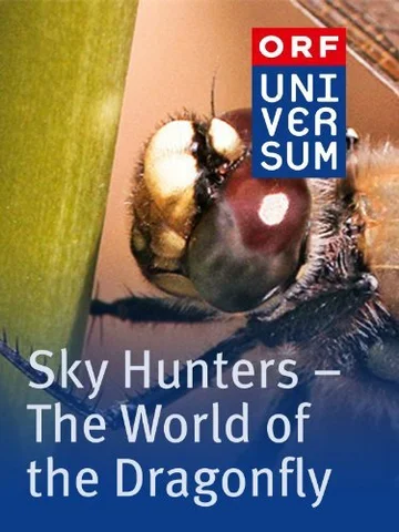 Постер: The Sky Hunters