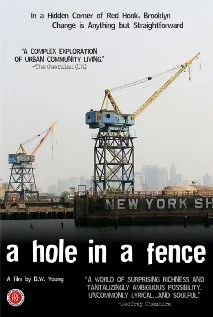 Постер: A Hole in a Fence
