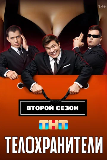 Постер: Телохранители