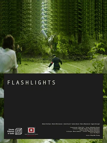 Постер: Flashlights