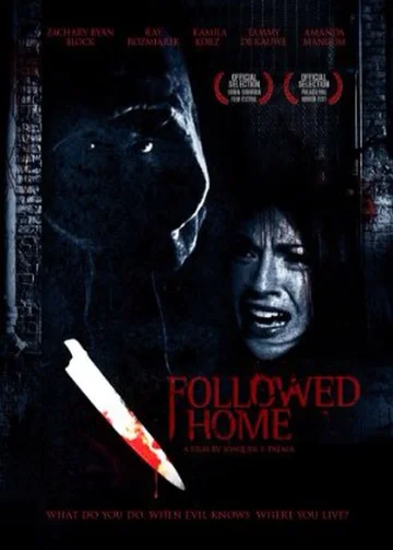 Постер: Followed Home