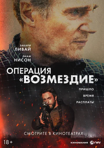 Постер: The Fix