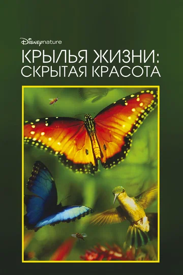 Постер: Крылья жизни: Скрытая красота