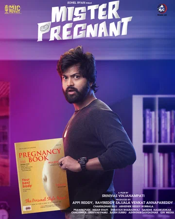 Постер: Mr. Pregnant