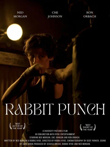 Постер: Rabbit Punch