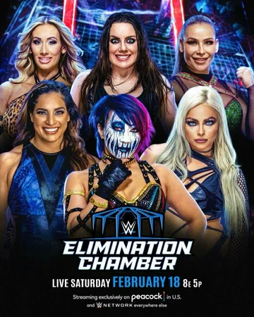 Постер: WWE Камера ликвидации