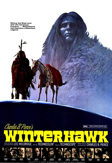 Постер: Зимний ястреб