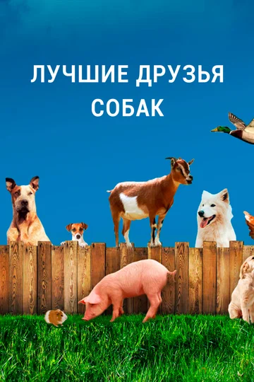 Постер: Лучшие друзья собак