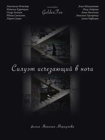 Постер: Силуэт, исчезающий в ночи