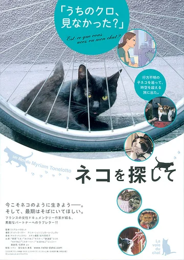 Постер: La voie du chat