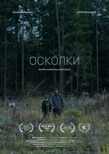 Постер: Осколки
