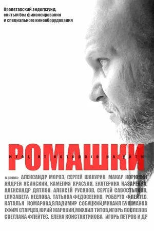 Постер: Ромашки